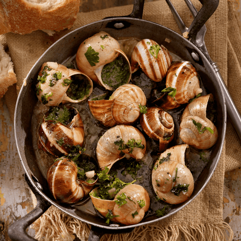 Escargot: Gourmet Gastropods Or Garden Pest Platter?