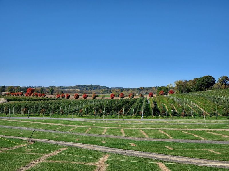 Grim's Orchard and Family Farms, Breinigsville