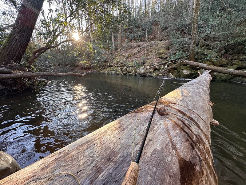 Trophy Trout Live Here, And They Play By Strict Rules