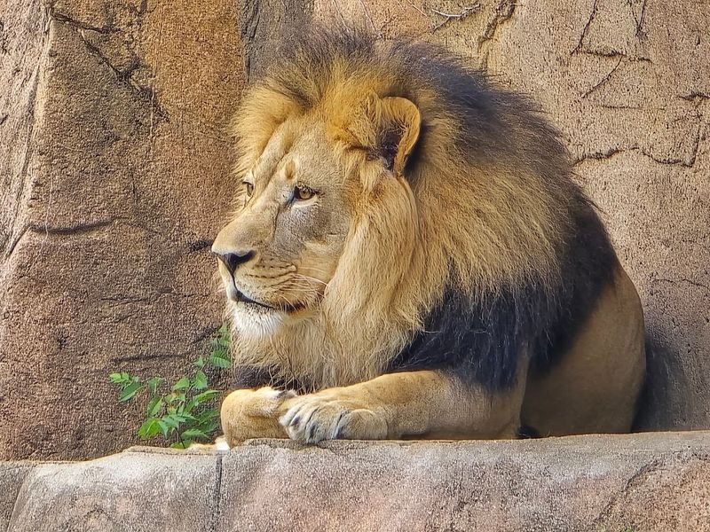 A Zoo With History Since 1934