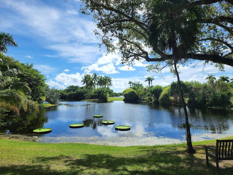 East Section With Palms, Ponds, And Resident Crocodile