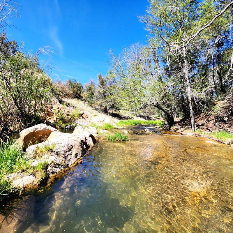 Trout Fishing For Every Angler