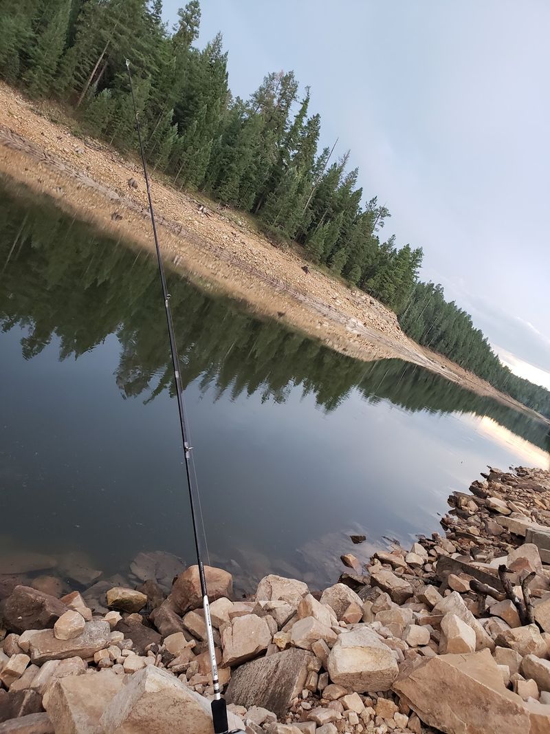 Trout Fishing That Rewards Patience