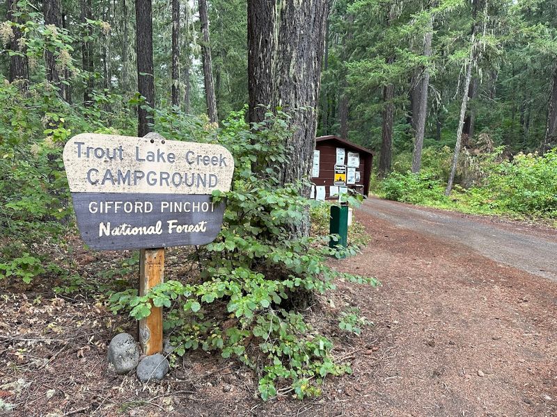 Trout Lake Creek Campground, Gifford Pinchot National Forest Trout Lake Creek Campground, Gifford Pinchot National Forest