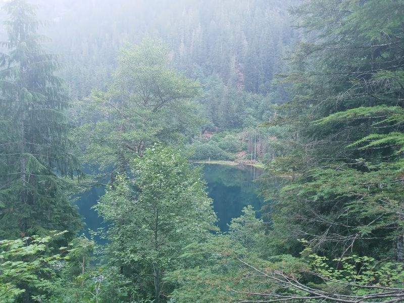 Trout Lake, Washington