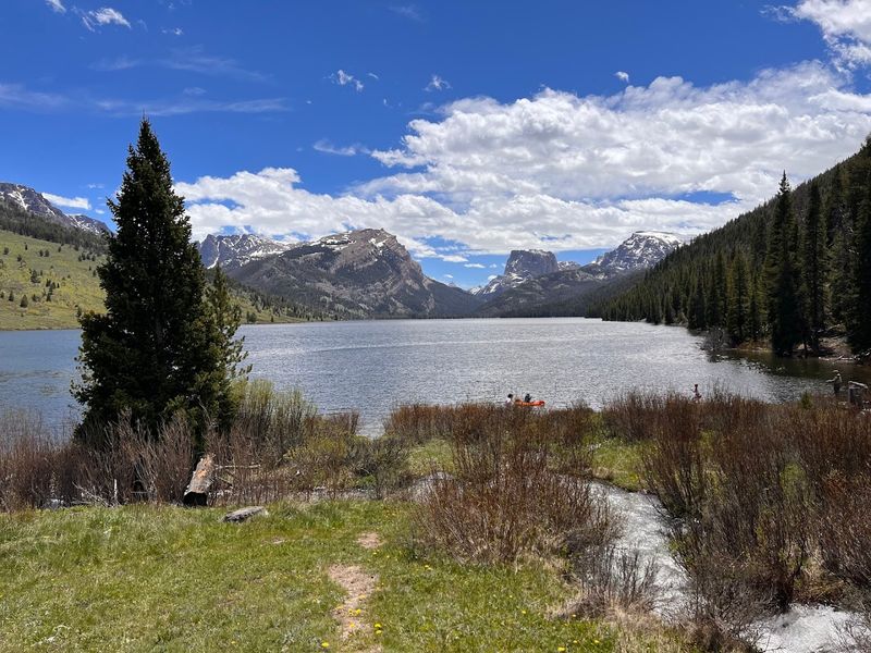 Trout, Silence, And Pure Satisfaction