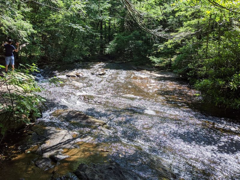 Trout Streams And Fishing Opportunities Tucked Throughout The Park