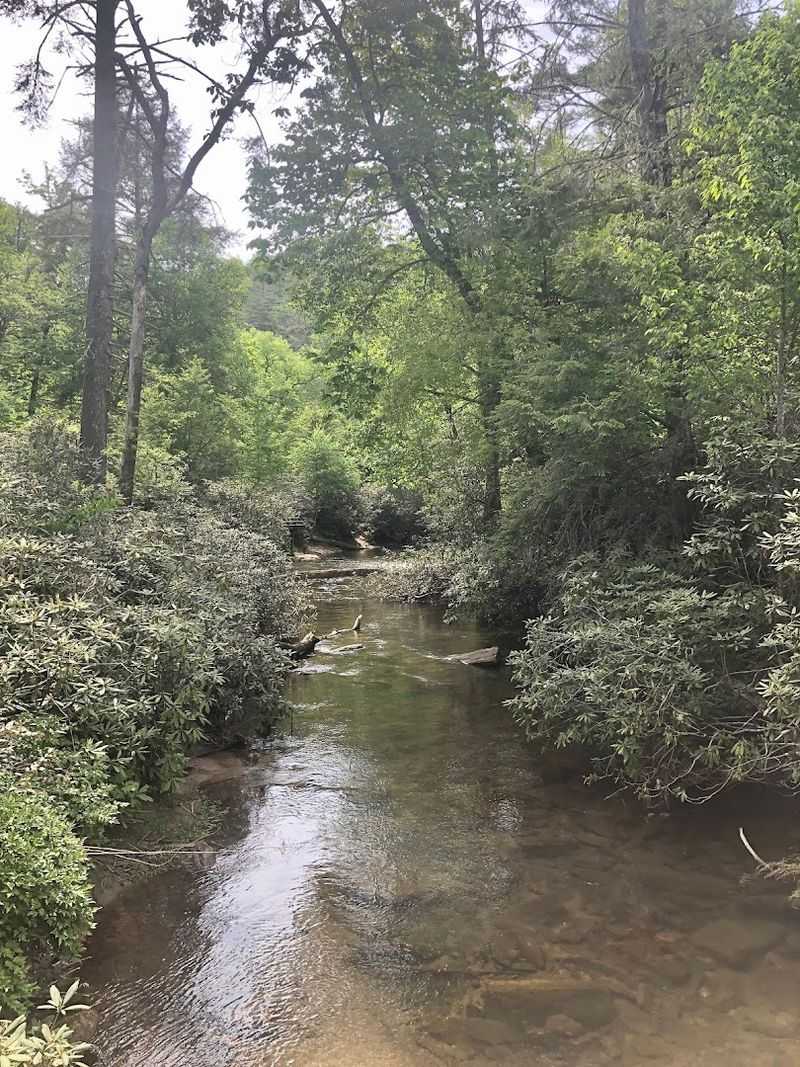 Trout Streams Cross Under the Road