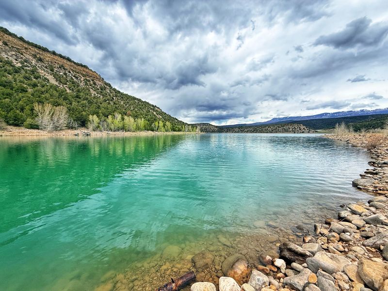 Trout, Walleye, And Kokanee Make Quite The Guest List Trout, Walleye, And Kokanee Make Quite The Guest List