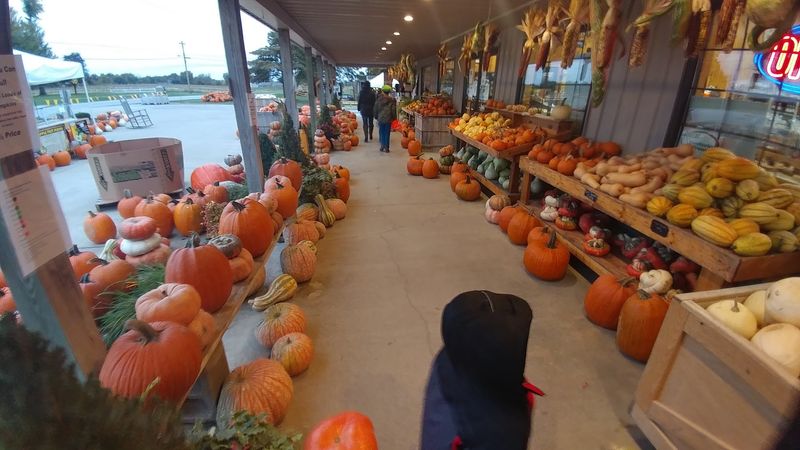 Trunnell's Market & Farm Experience