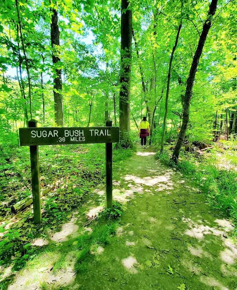 Trust The Trail System To Make Exploration Manageable Trust The Trail System To Make Exploration Manageable