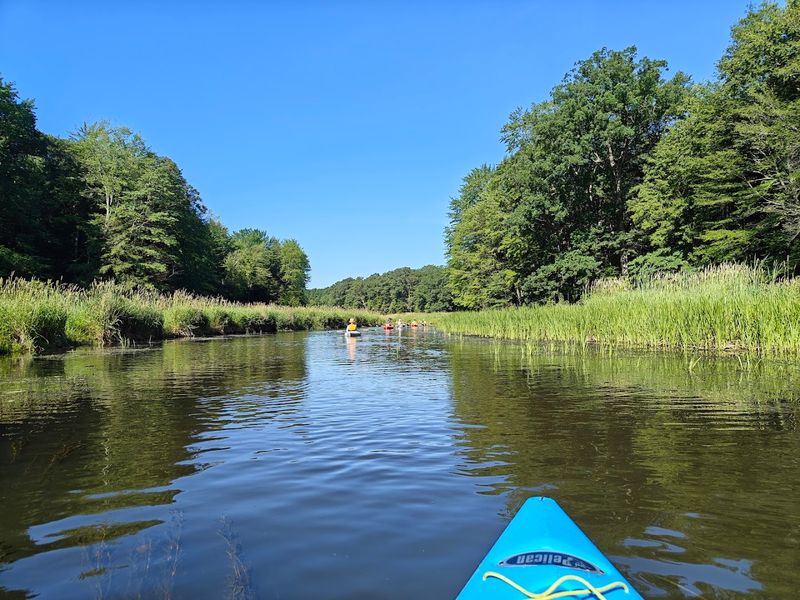 Try The Water If Conditions Cooperate