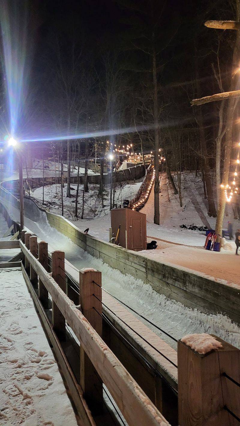 Try The Wheel Luge In Summer Try The Wheel Luge In Summer