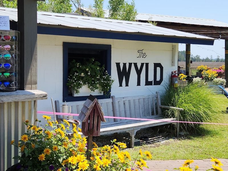 The Wyld Dock Bar