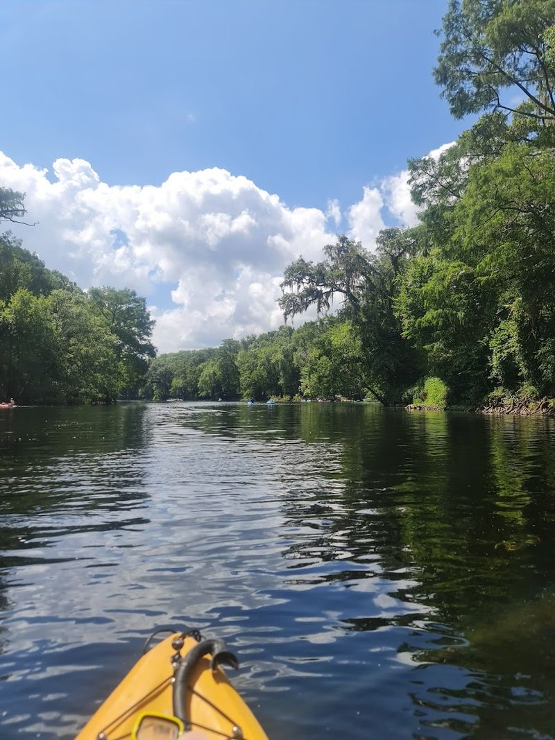 Tubing Down The Santa Fe River Tubing Down The Santa Fe River