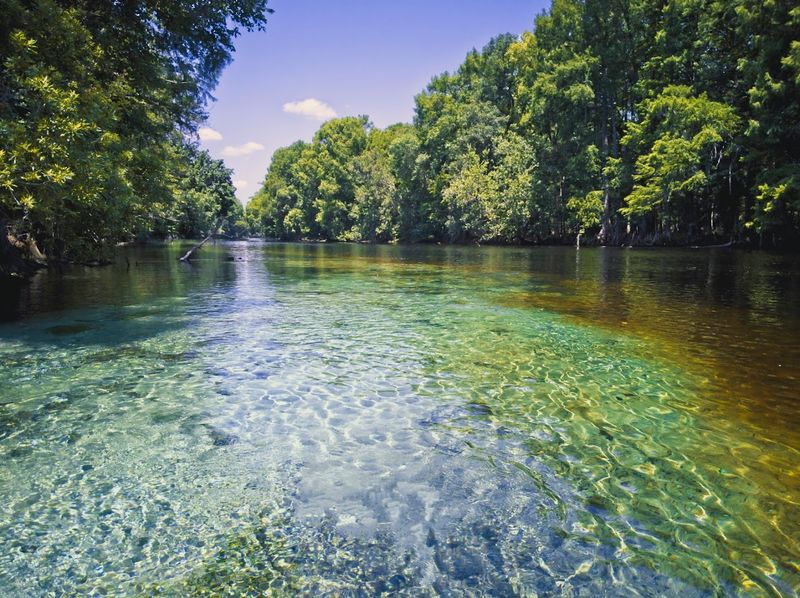Paddling Through A Living, Breathing Florida Postcard
