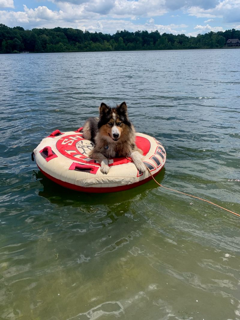 Tubing Season Is A Southern Tradition