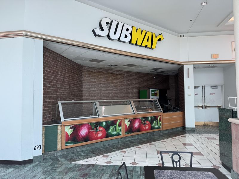Subway: The Fallen Giant