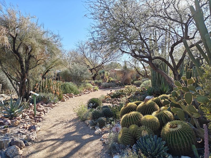 Tucson Botanical Gardens Tucson Botanical Gardens