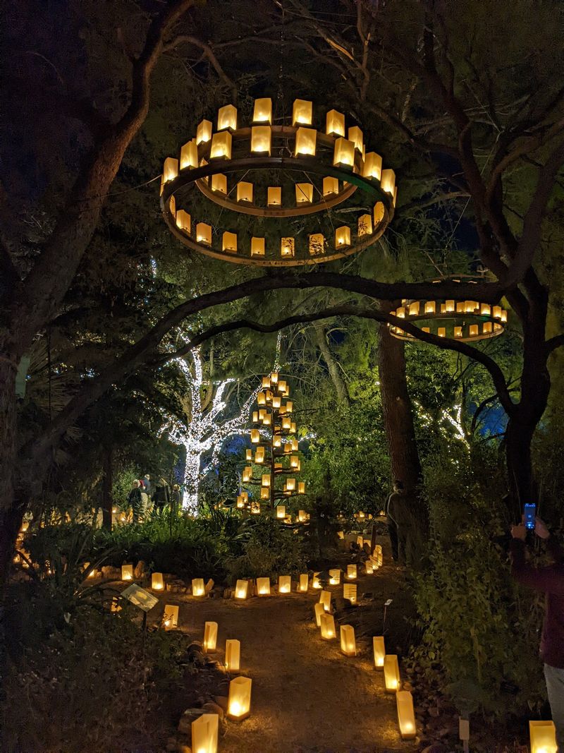 Tucson Botanical Gardens, Tucson, AZ