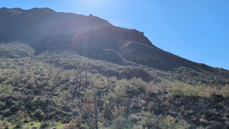 Tucson Mountain Park, Tucson, Arizona Tucson Mountain Park, Tucson, Arizona