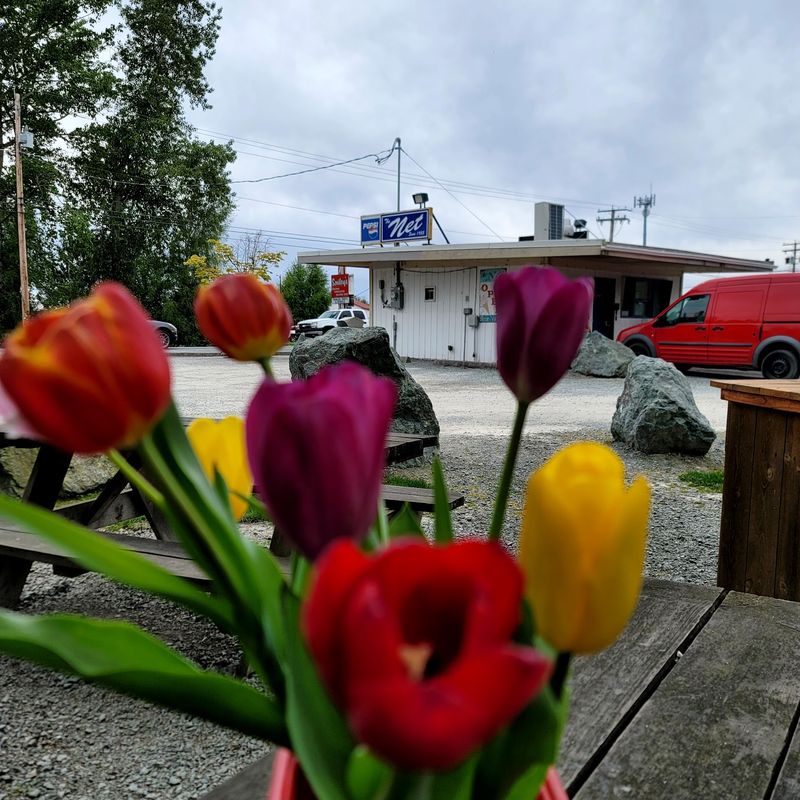 Tulip Season Makes It Extra Special