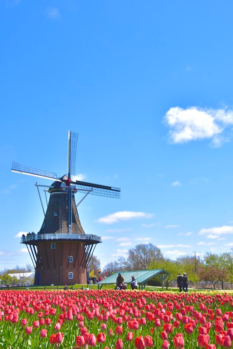 Windmill Island Gardens, Holland