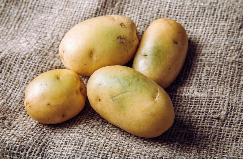 Potatoes Gone Green