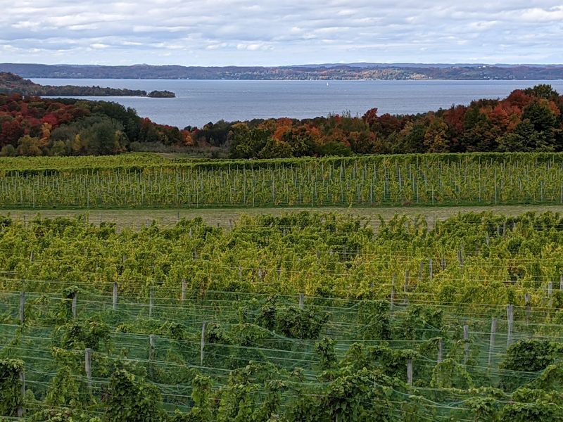 M-22 Through The Leelanau Peninsula