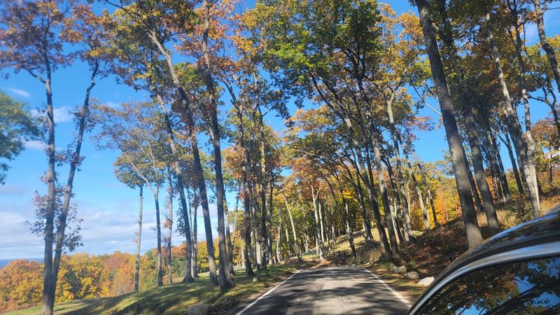 Tunnel of Trees Beaches (Petoskey)
