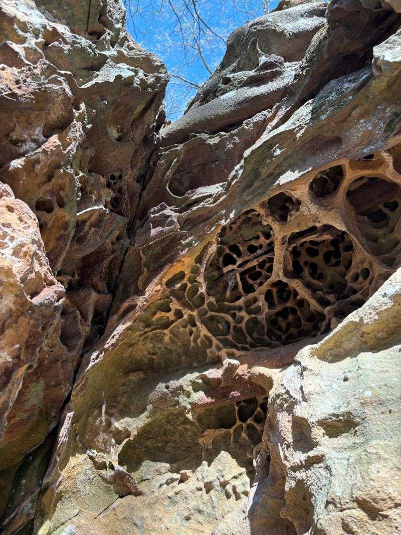 Tunnels, Squeezes, And A Daring Leap