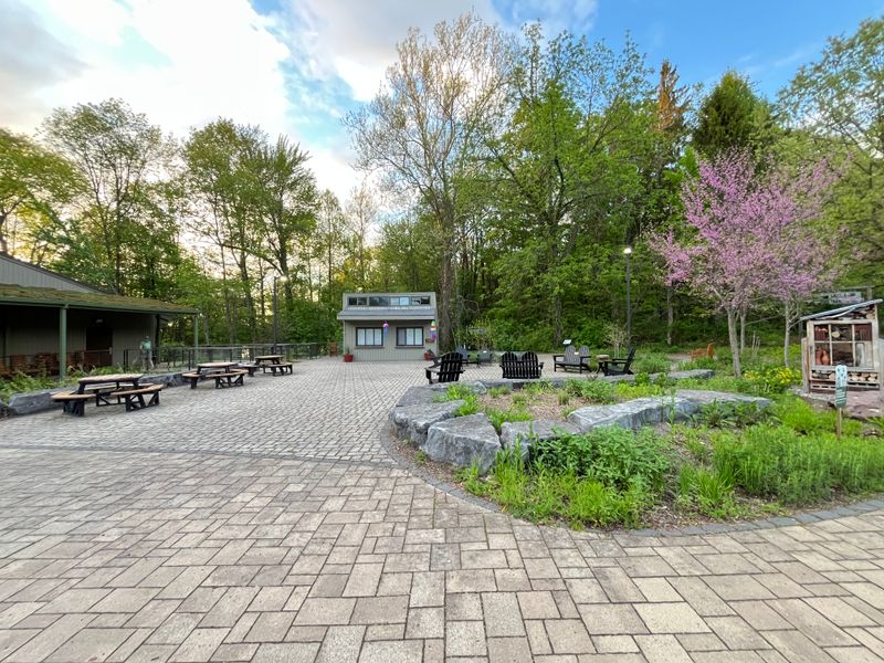 Beaver Lake Nature Center Boardwalk, Wetlands Walk
