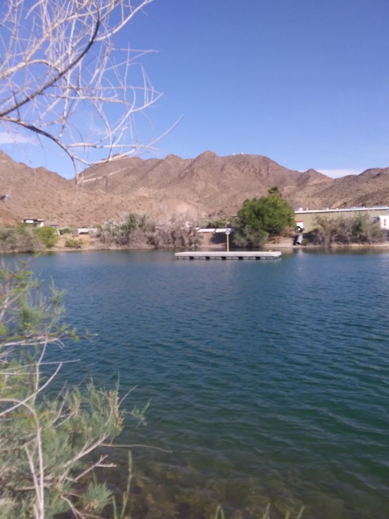 Turkey Cove, Lake Mohave Near Katherine Landing