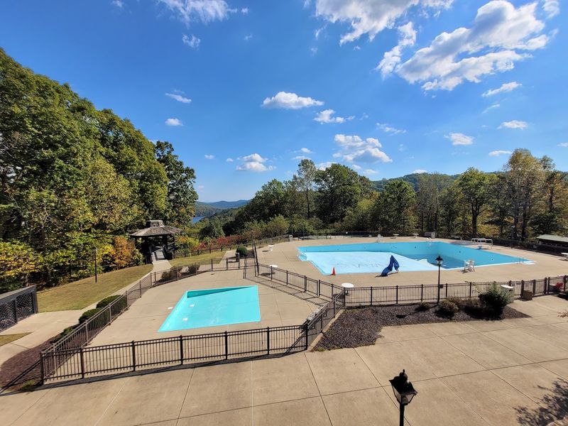 The Lodge Experience: Food, Pool, and Forest Views