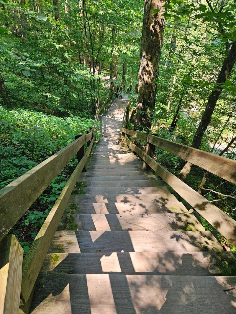 Turkey Path Trail At Leonard Harrison State Park, Wellsboro, Pennsylvania Turkey Path Trail At Leonard Harrison State Park, Wellsboro, Pennsylvania