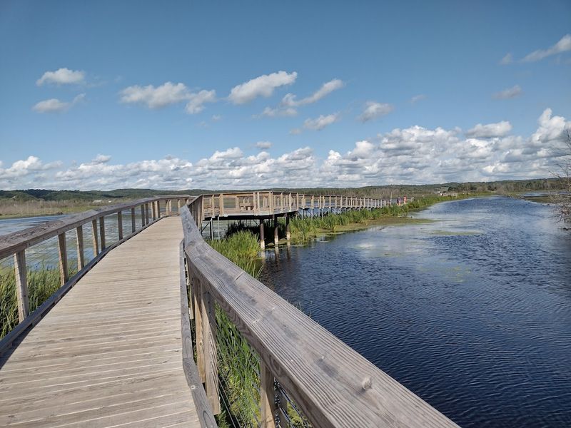 Arcadia Marsh Nature Preserve Boardwalk