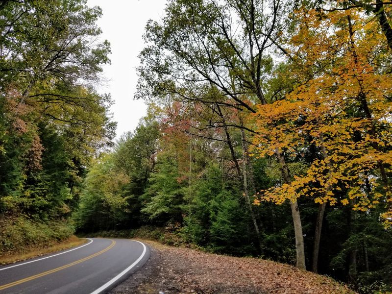 Turn One Gorge Into A Full Fall Weekend
