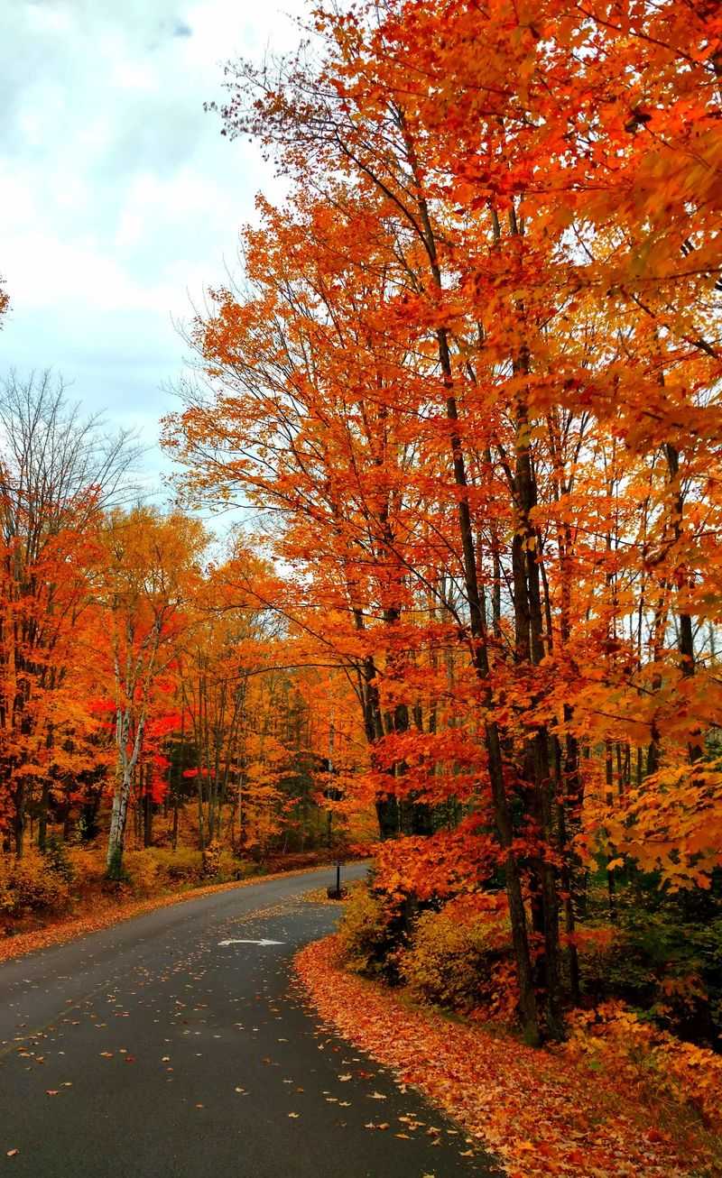 Turn One Waterfall Into A Whole Upper Peninsula Road Trip