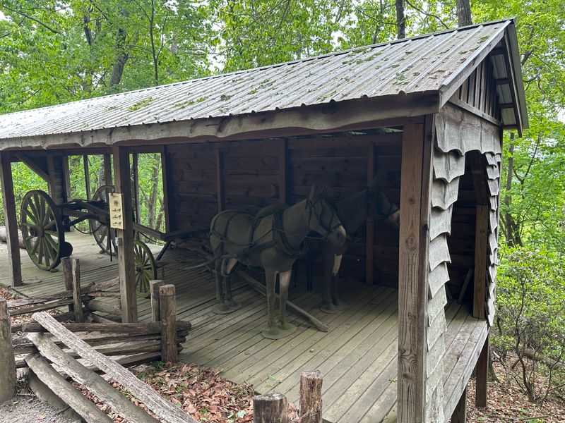 Rendezvous Mountain State Park / State Forest - 1956 Rendezvous Mountain Rd, Purlear