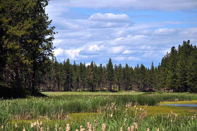 Turnbull National Wildlife Refuge
