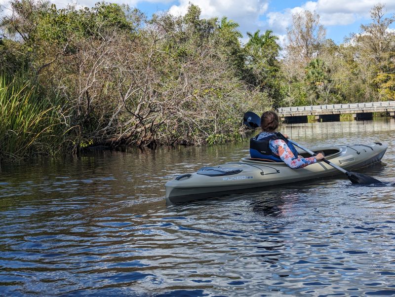 Paddling & Backcountry Options: Turner River Paddling Trail