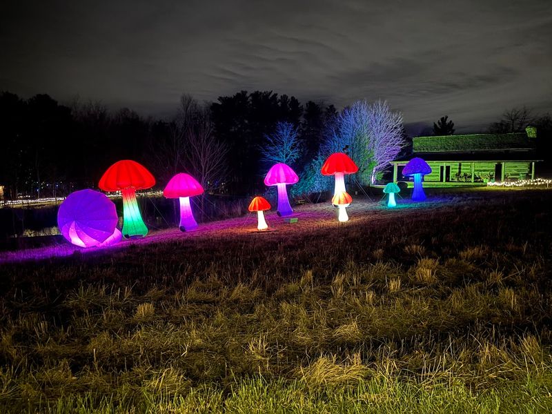 Seasonal Events And Special Programs Throughout The Year