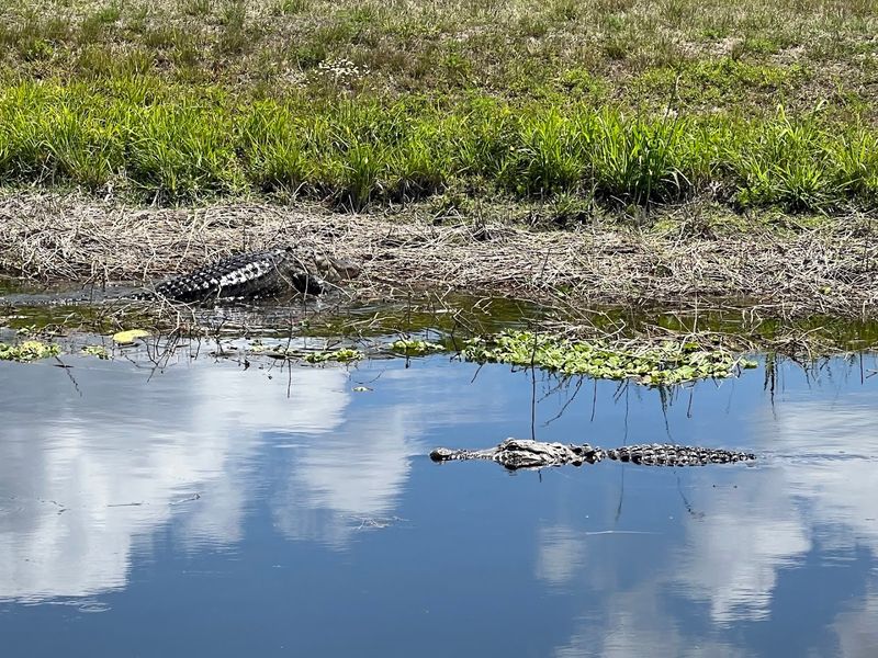 The Road Is Well-Maintained And Easy To Drive