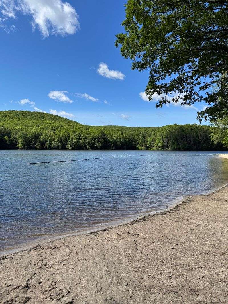Tuscarora State Park Beach, Barnesville