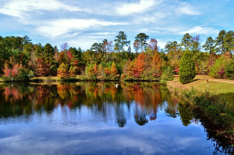 Clemmons Educational State Forest - 2411 Old US 70 Hwy W, Clayton