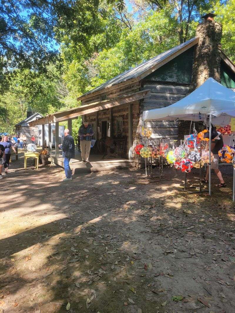 Festival Energy In September