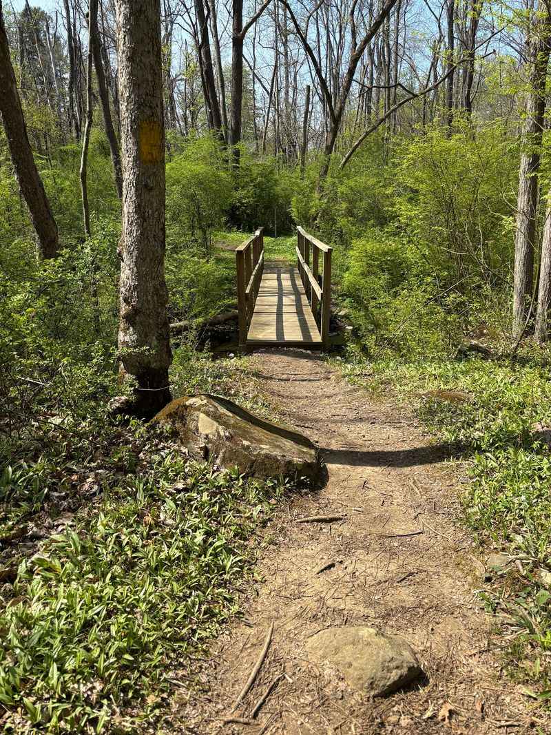 Twelve Trails Ranging From Easy To Sweaty