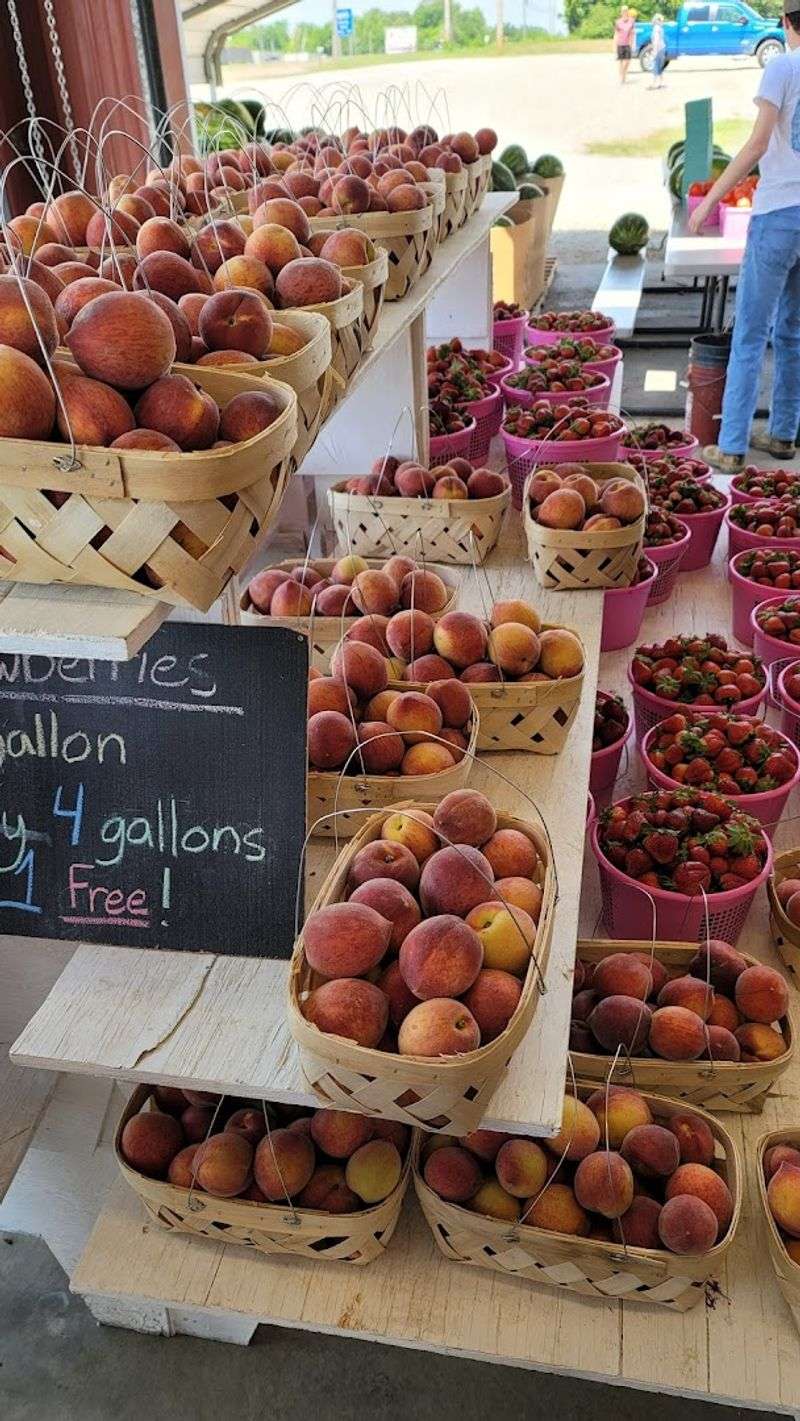 Twenty-Five Varieties Of Peaches You Need To Try