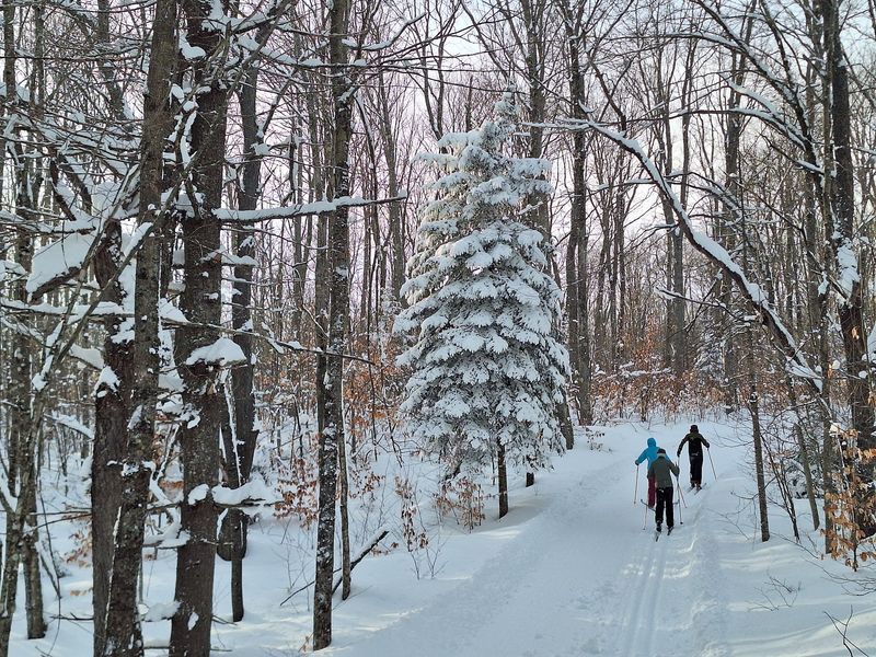 Twenty-Seven Miles Of Trail Means Nobody Runs Out Of Room Twenty-Seven Miles Of Trail Means Nobody Runs Out Of Room
