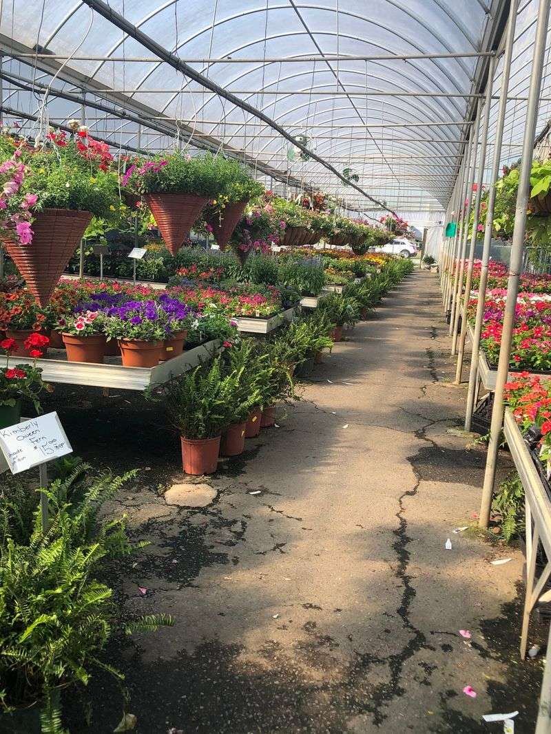 Twenty-Three Greenhouses Means You Should Wear Comfy Shoes